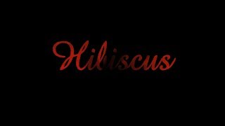 Hibiscus (2010) video
