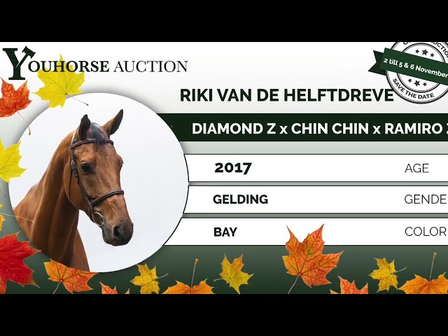 Riki van de Helftdreve showvideo