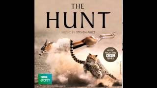 Alpines - I put a spell on you (BBC - The Hunt Soundtrack)