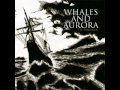 Whales and Aurora - Abandoned Among Echoes ...