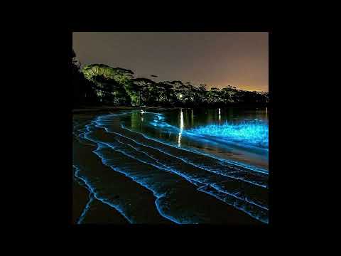 【FREE】Playboi Carti x Adrian x Tevomxntana Type Beat - "thxl#"