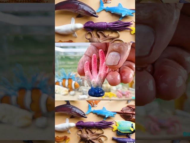 Vídeo relacionado con VEOIRXU 50 Piezas Mini Figuras de Animales de Resina Luminosas Minifiguras de Océano Animales Marinos en Miniatura Figuras Para Jardines Paisajísticos en Miniatura Bonsái Decoración DIY Acuarios