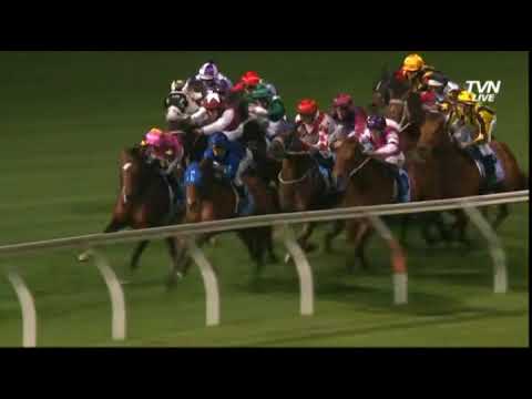 2013 MVRC MOONEE VALLEY Manikato Stakes