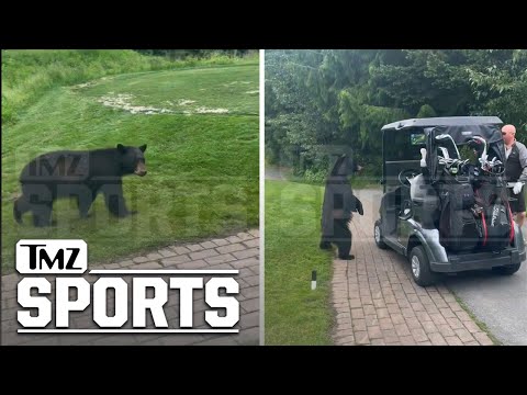 Hungry Bear Interrupts Golfers' Annual Golf, Climbs In Cart