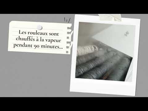 France de Roy / L'impression végétale