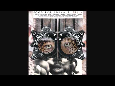 Food For Animals - Shhhy