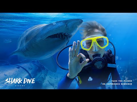 SEA LIFE Sunshine Coast
