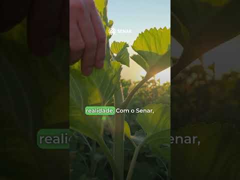 Senar EaD - cursos on-line, gratuitos e com certificados. Aproveite hoje!