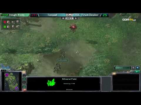 2010 GSL Season 3 Ro64 Match 11 Set 2   Tosyad vs FruitDealer