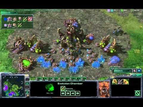 Team TQ Tournament - DarkCell vs iDoMiNaTe - Match 1