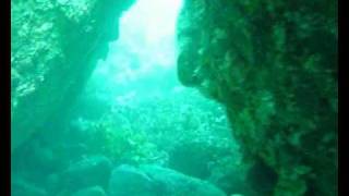 preview picture of video 'Diving off Albany WA: Michaelmas Island, Breaksea Island - Today: the Secret Places!'