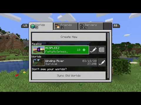 FattyMcSpleez - I Owned a Minecraft Anarchy Realm for 5 Days and This is What Happened