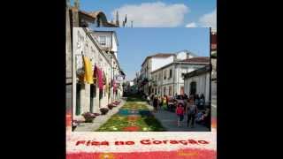 Caminha - tapetes de flores / flowers carpets - 2015