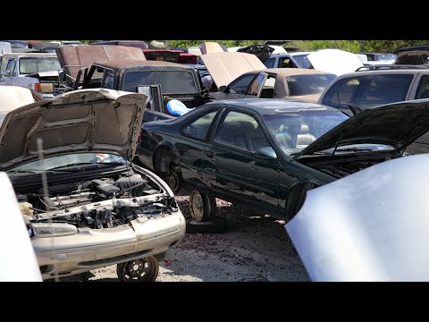 Zobacz filmy, Rago Kasacja samochodów, Stacja kontroli pojazdów, Michów