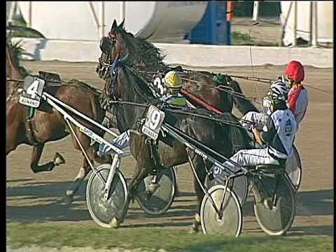 Trotto 18/05/2018 - 7ª corsa