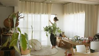 植物と暮らす日常Vlog | 植替えして環境を整える３日間