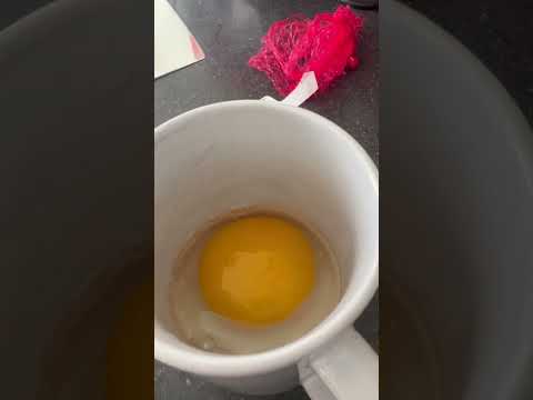 First Time Trying a Canadian Goose Egg... 🥚 #shorts #benbulks #cooking