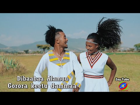 Dibaabaa Alamuu - Ethiopian new music - Gorora keetu dammaa - 2021