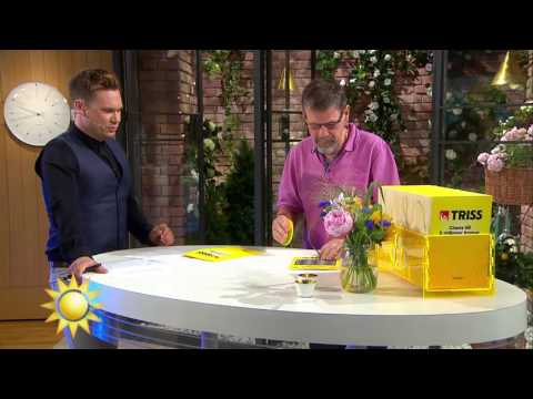 Vätternrundan-veteranen skrapar triss! - Nyhetsmorgon (TV4)