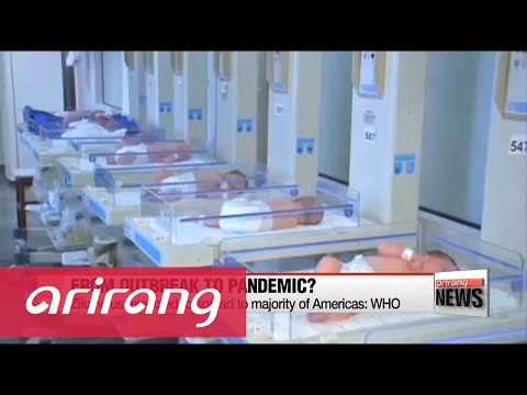 寨卡病毒預計將擴散到美洲大部分地區。世衛組織 (Zika virus expected to spread to majority of Americas: WHO)