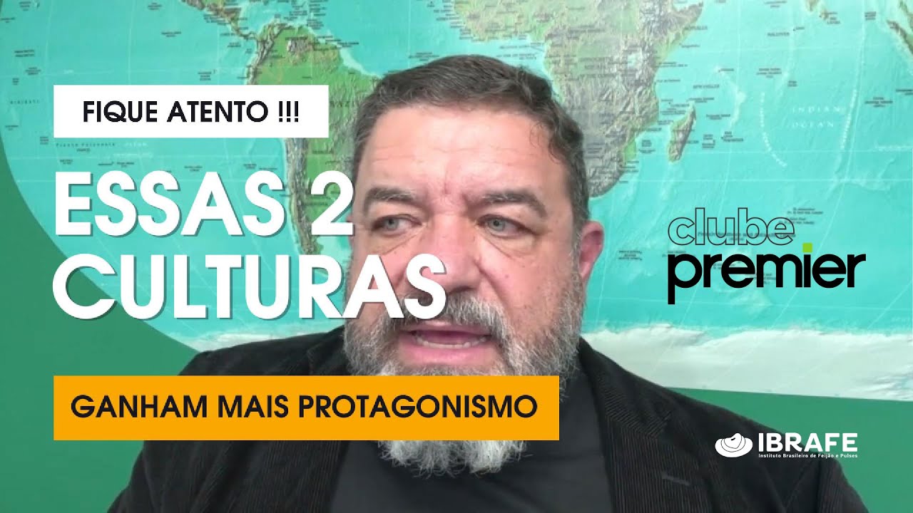 Como estimular o plantio de Feijão? A conta não está fechando!