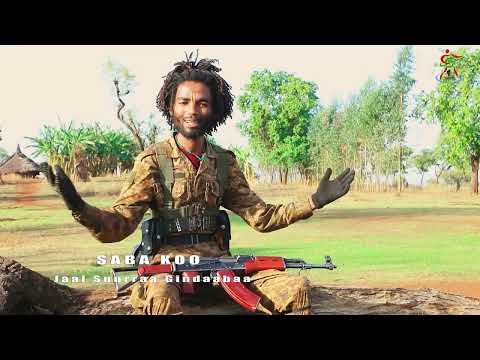 New Oromoo Music 2022 100% @Jaal Surraa Gindaabaa  # SABA KOO# New WBO Music 2022