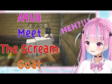 Aqua Scream Goat: First Encounter in Minecraft!!