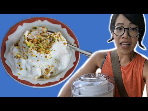 BOOZA -- How to Make STRETCHY Ice Cream With a Thrift Store Ice Cream Maker -- Will it Work?
