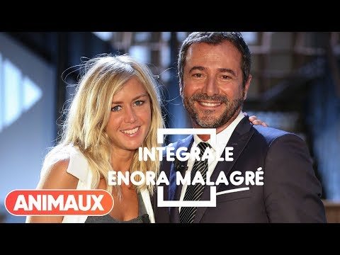 Enora Malagré dans Animaux Stars (intégrale) - Animaux