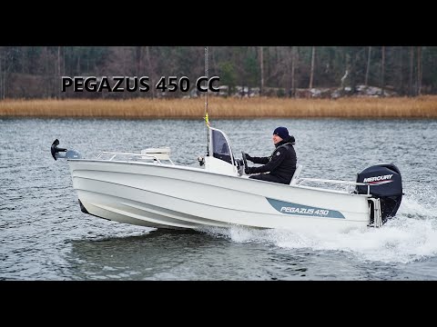 Motor boat PEGAZUS 450 with Central Console