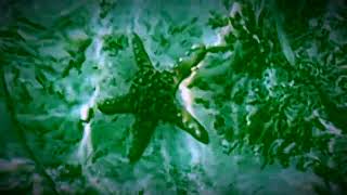 John Lennon - Mucho Mungo | SLOWED &amp; REVERB