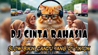 Download lagu DJ ❤️CINTA RAHASIA SLOW CANDU YANG DI TIKTOK BY YANZ TUBE  mp3