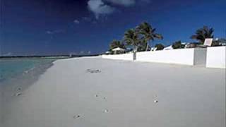 Michael Angelo Vs Solo Feat.Vicky Fee - Find your way