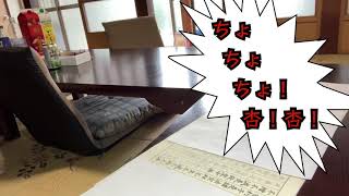 【熟女写経】本日は紫のスポブラで・・・