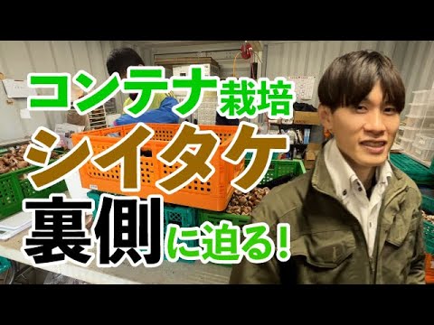 【年間約400トンのしいたけ】次世代型しいたけコンテナ工場に潜入