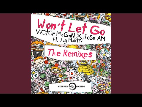 Won't Let Go (feat. Jay Martin) (DJ Coppola Remix)