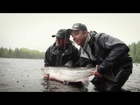Scott Mackenzie & the baltic salmon