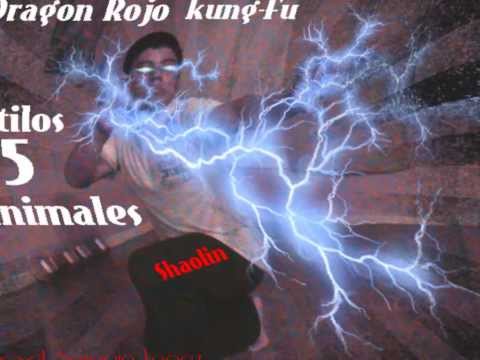 6.. Red dragon  kung fu shaolin  styles 5 animals