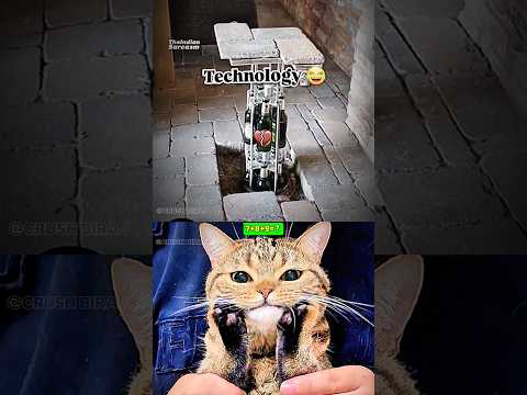 DAY- 13 TECHNOLOGYA 😺#cat #technologia #memes