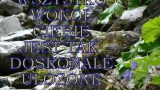 radiohead fake plastic trees