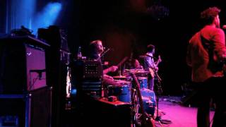 DOLPHIN CENTER | The Donkeys