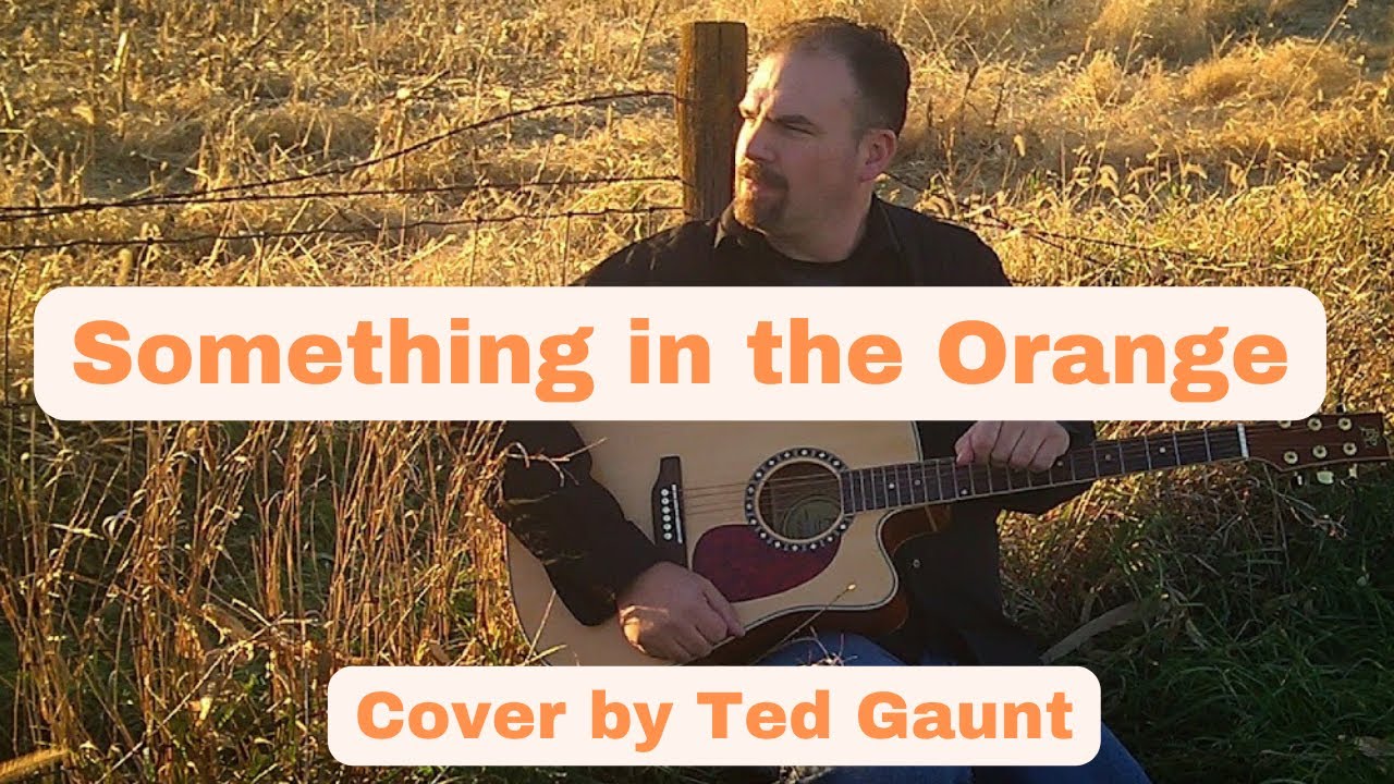 Promotional video thumbnail 1 for Ted Gaunt Music