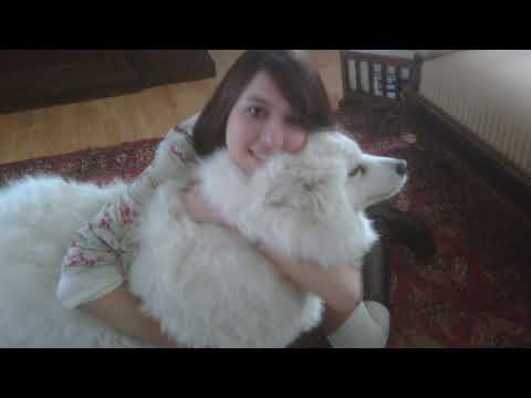 @ionbogdanstefanescu  Claude Bolling - Sentimentale