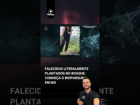 Vídeo