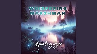 Apologize (LOUNGE Version)