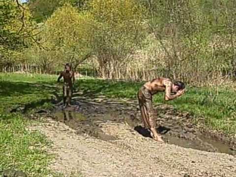 porci din barlibasoaia