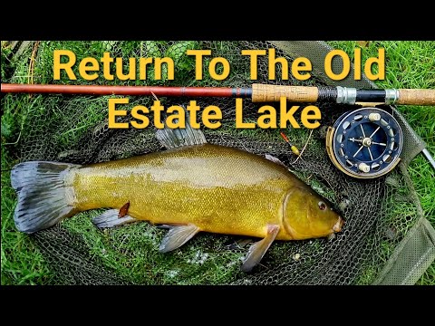 Return To The Old Estate Lake  - Tench & Carp