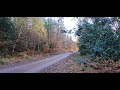 Wydean Rally Speech House SS1 And SS4