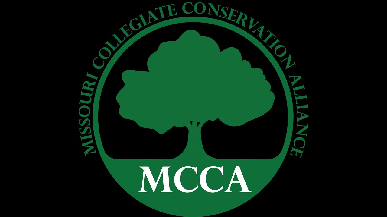 What is MCCA?