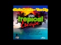 Chris Martin - Too Big (Tropical Escape Riddim) 2013